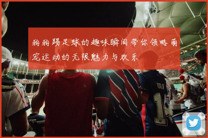 狗狗踢足球的趣味瞬间带你领略萌宠运动的无限魅力与欢乐