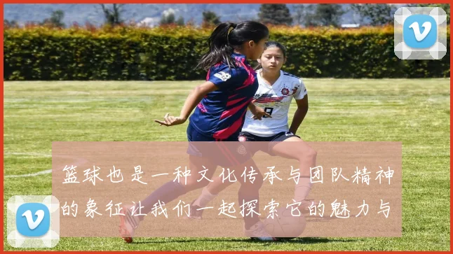 篮球也是一种文化传承与团队精神的象征让我们一起探索它的魅力与价值