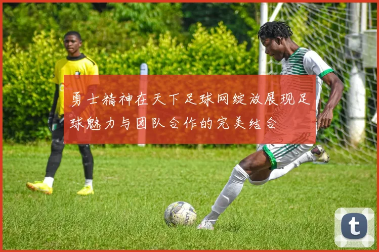 勇士精神在天下足球网绽放展现足球魅力与团队合作的完美结合