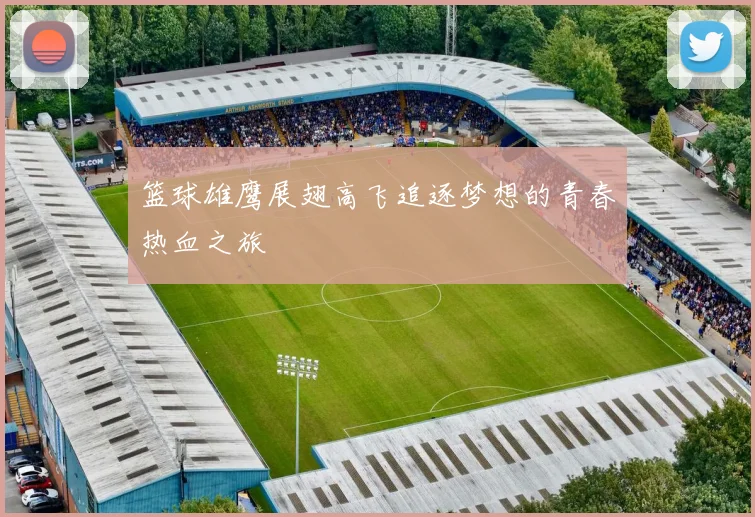 篮球雄鹰展翅高飞追逐梦想的青春热血之旅