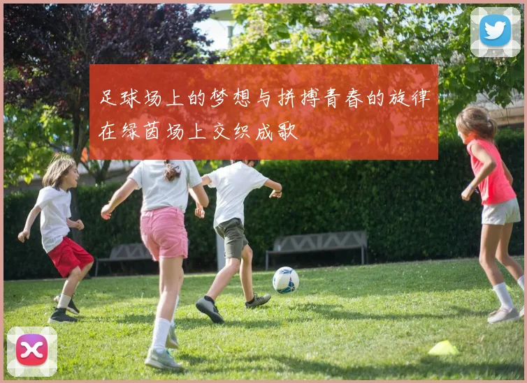 足球场上的梦想与拼搏青春的旋律在绿茵场上交织成歌